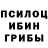 Галлюциногенные грибы Magic Shrooms Se Rus
