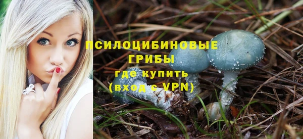 не бодяженный Верхний Тагил