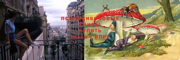 шишки Верхнеуральск