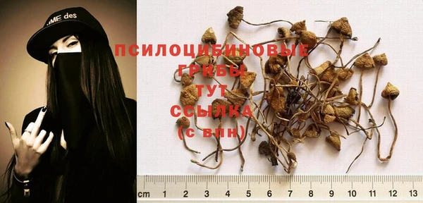 не бодяженный Верхний Тагил