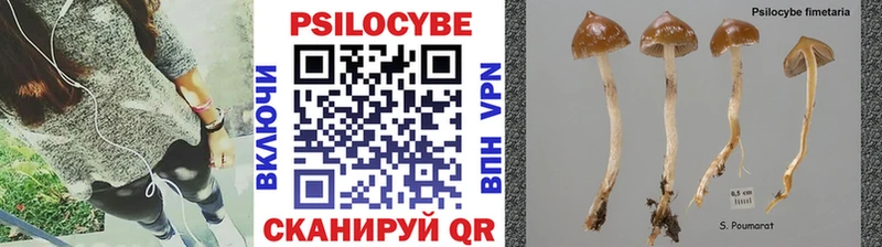 купить наркоту  Вязники  гидра ссылки  Галлюциногенные грибы прущие грибы 